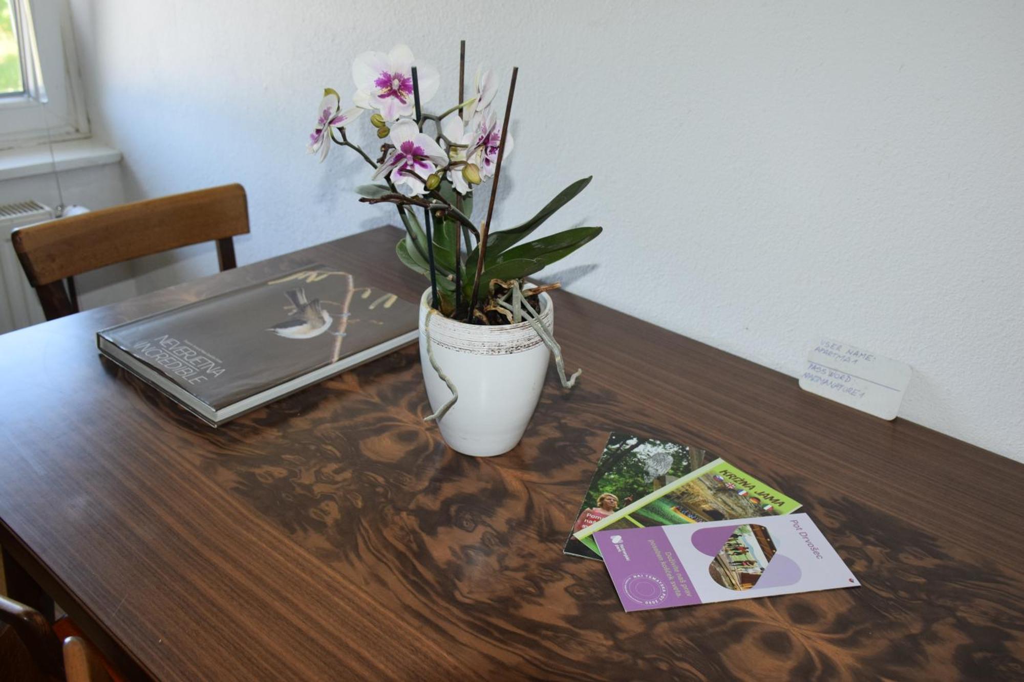 Apartma Narava Begunje pri Cerknici Номер фото
